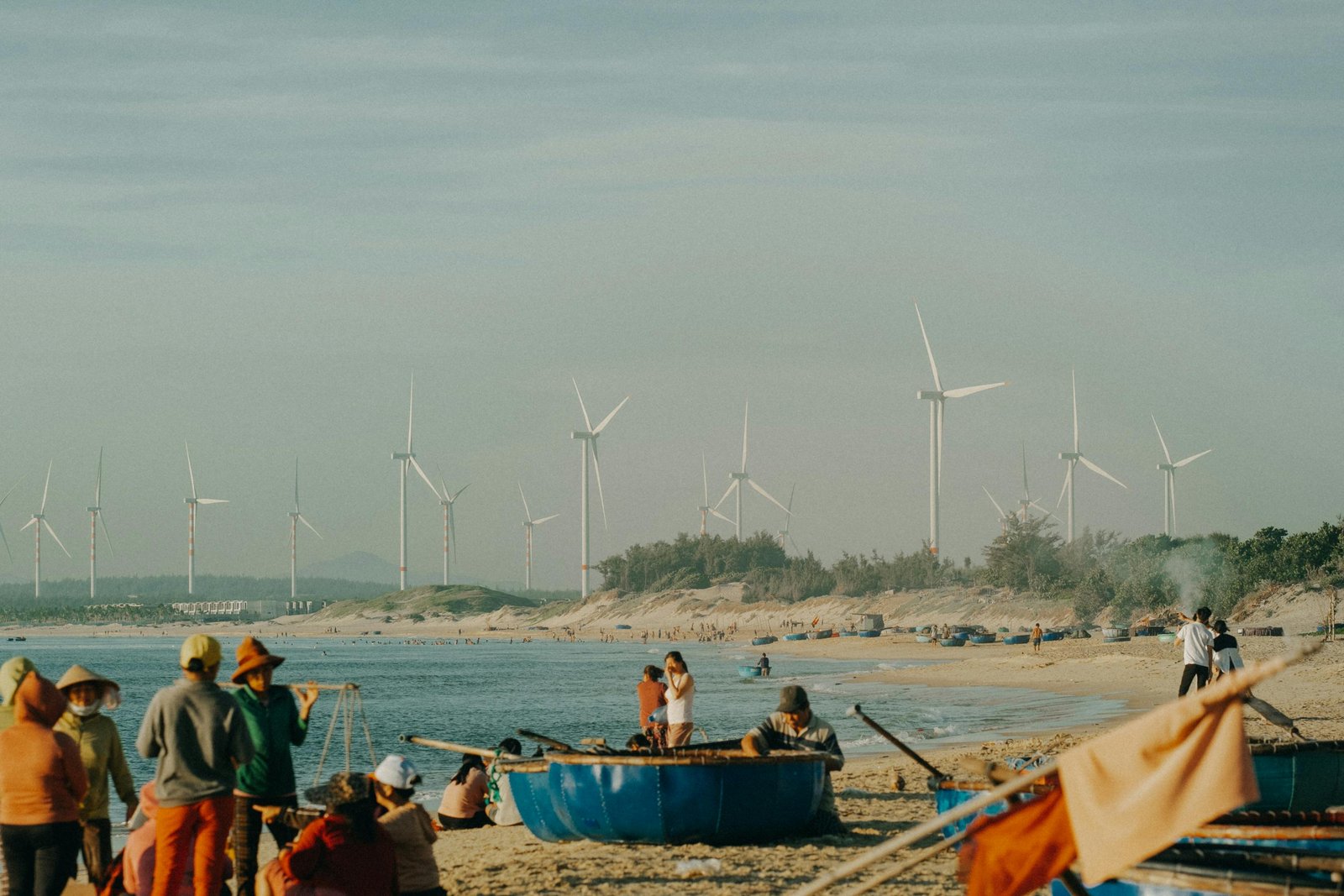 Bat activity at Vietnamese wind turbines was highest in warmer months