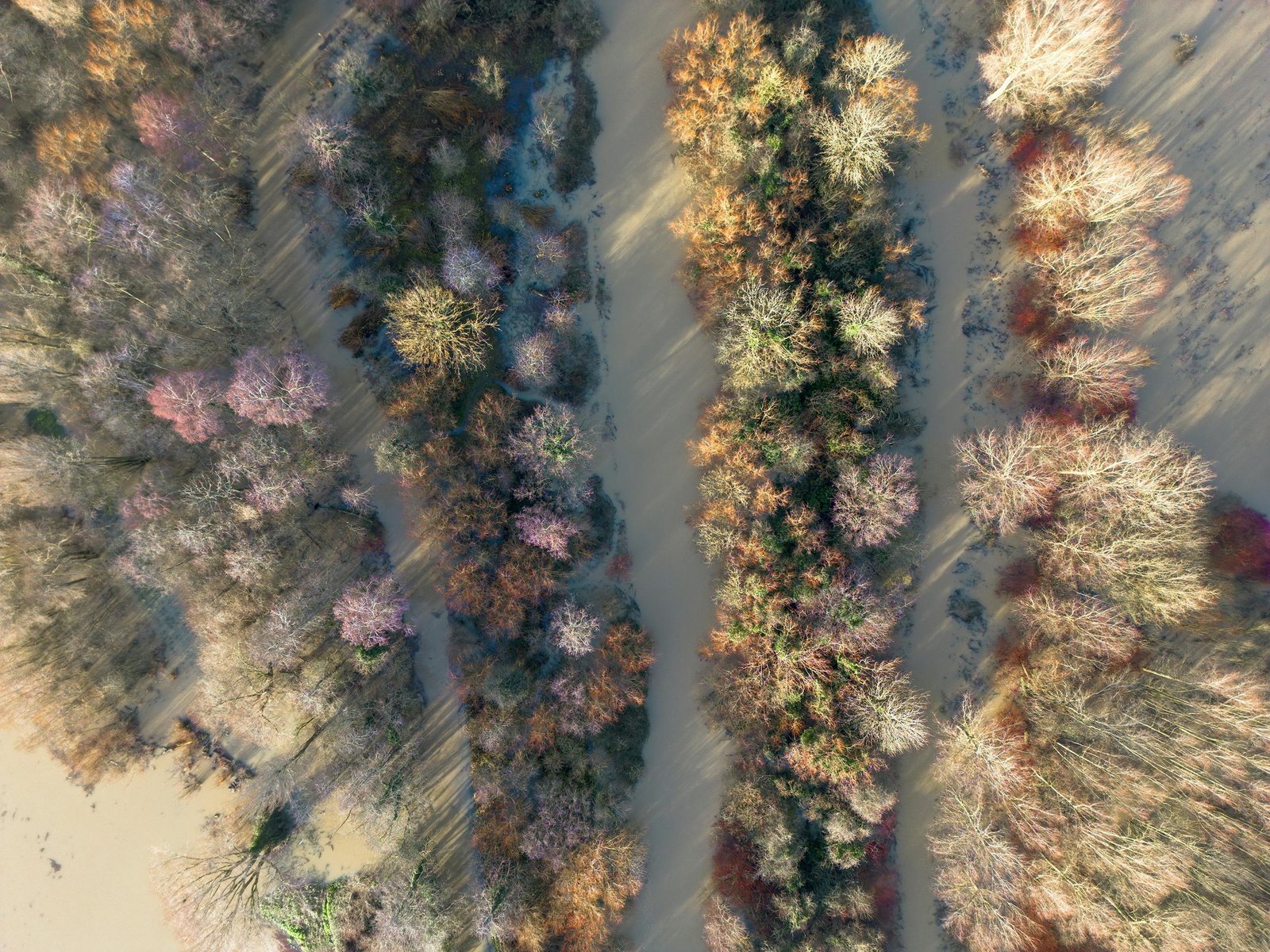 Climate-adapted planning is needed for floodplain biodiversity