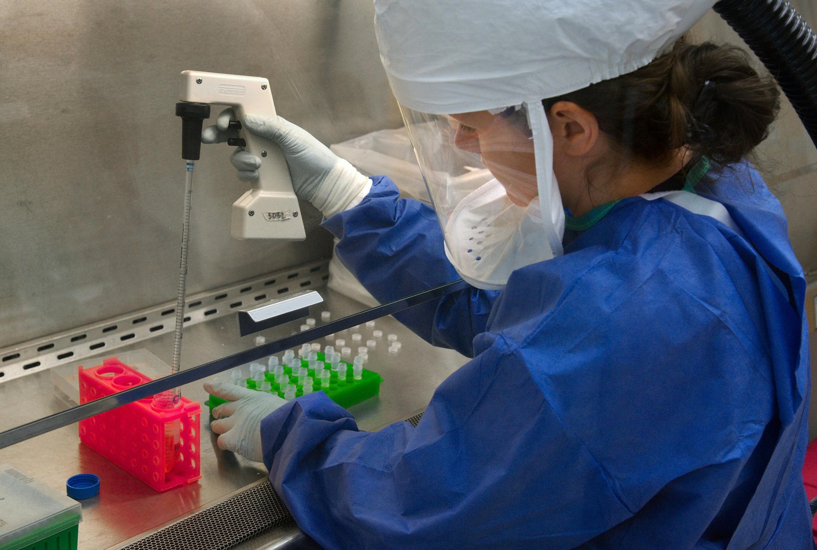 SNP profile completeness varied, but DNA metrics only partly predicted it