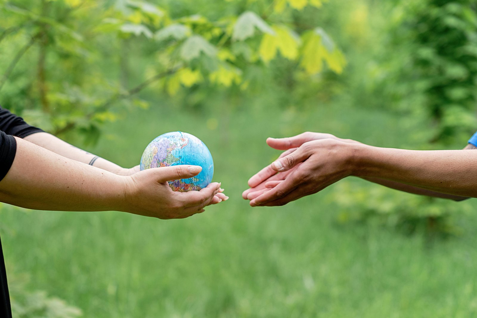 Catholic social teaching is applied to climate change and nursing