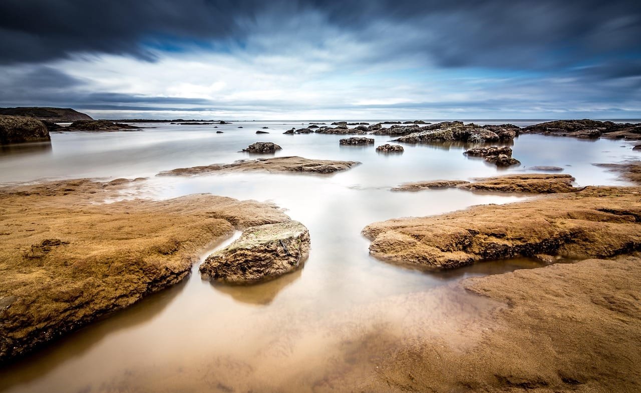 Metal contamination varied across Tenerife coastal sites