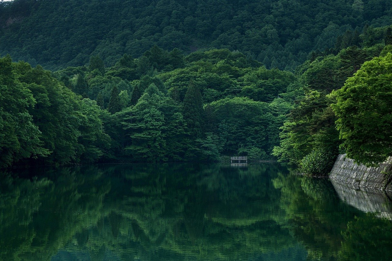 Eutrophic-lake phytoplankton were more sensitive to silver nanoparticles