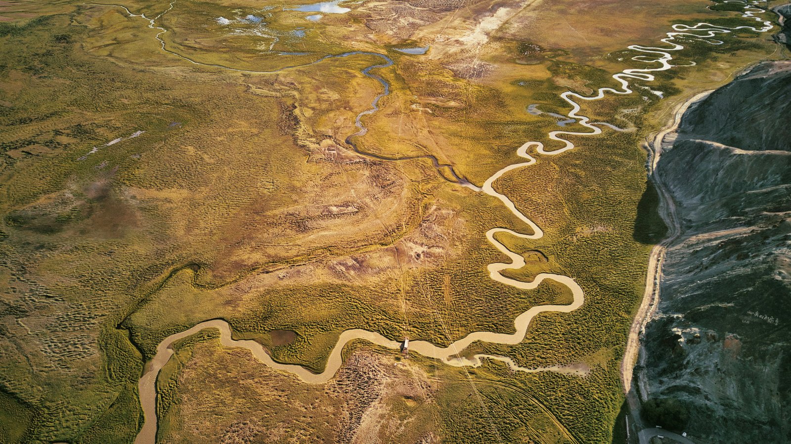 Projected land cover change slightly increases flood discharge