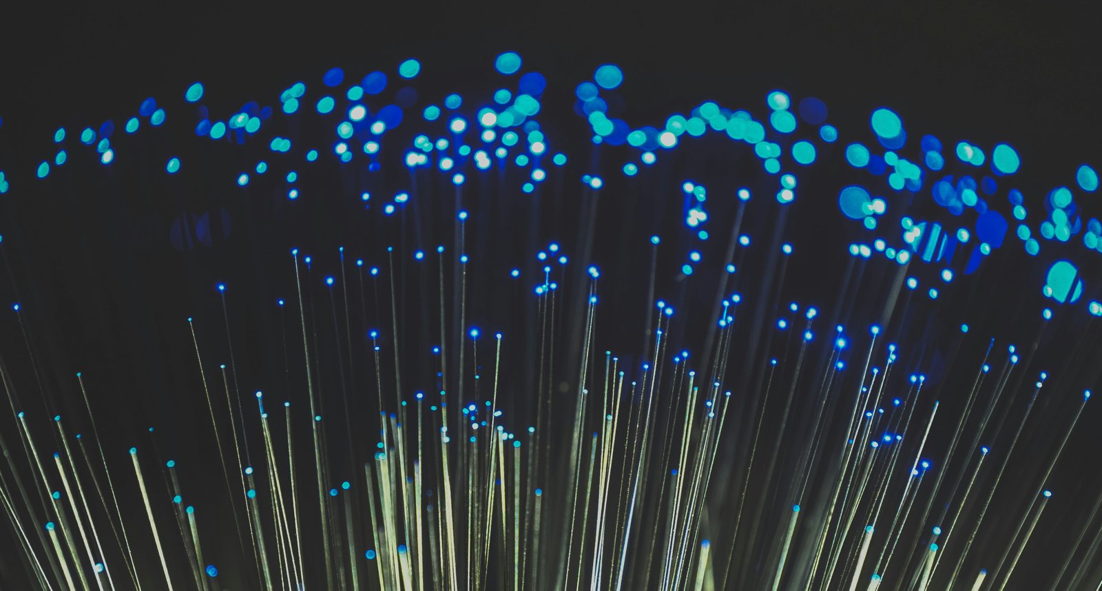 EO comb system combines high-capacity transmission and sensitive sensing