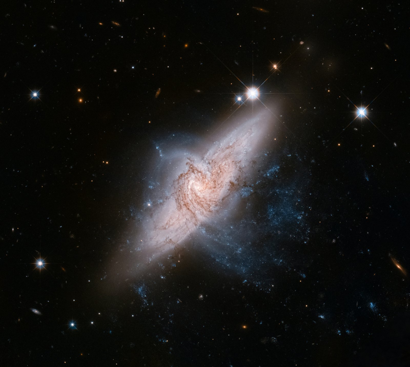 Dark matter halo alters black hole optics and thermodynamics