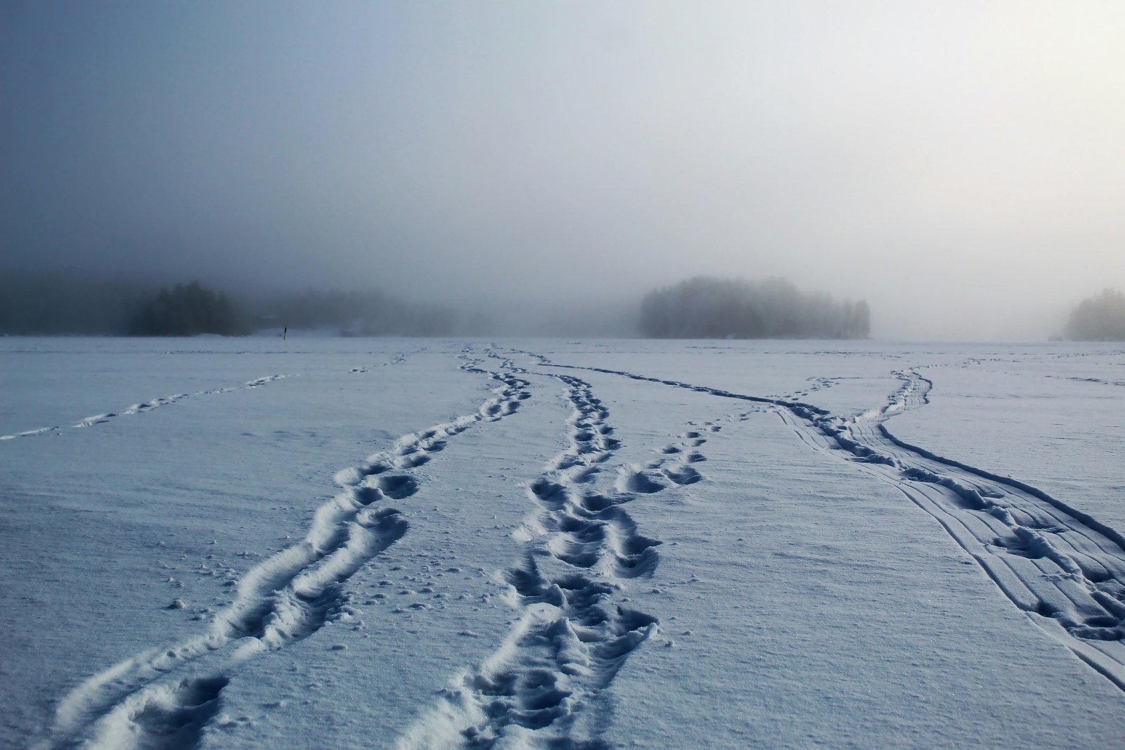 Old dissolved carbon from permafrost thaw accumulates in Siberian lakes