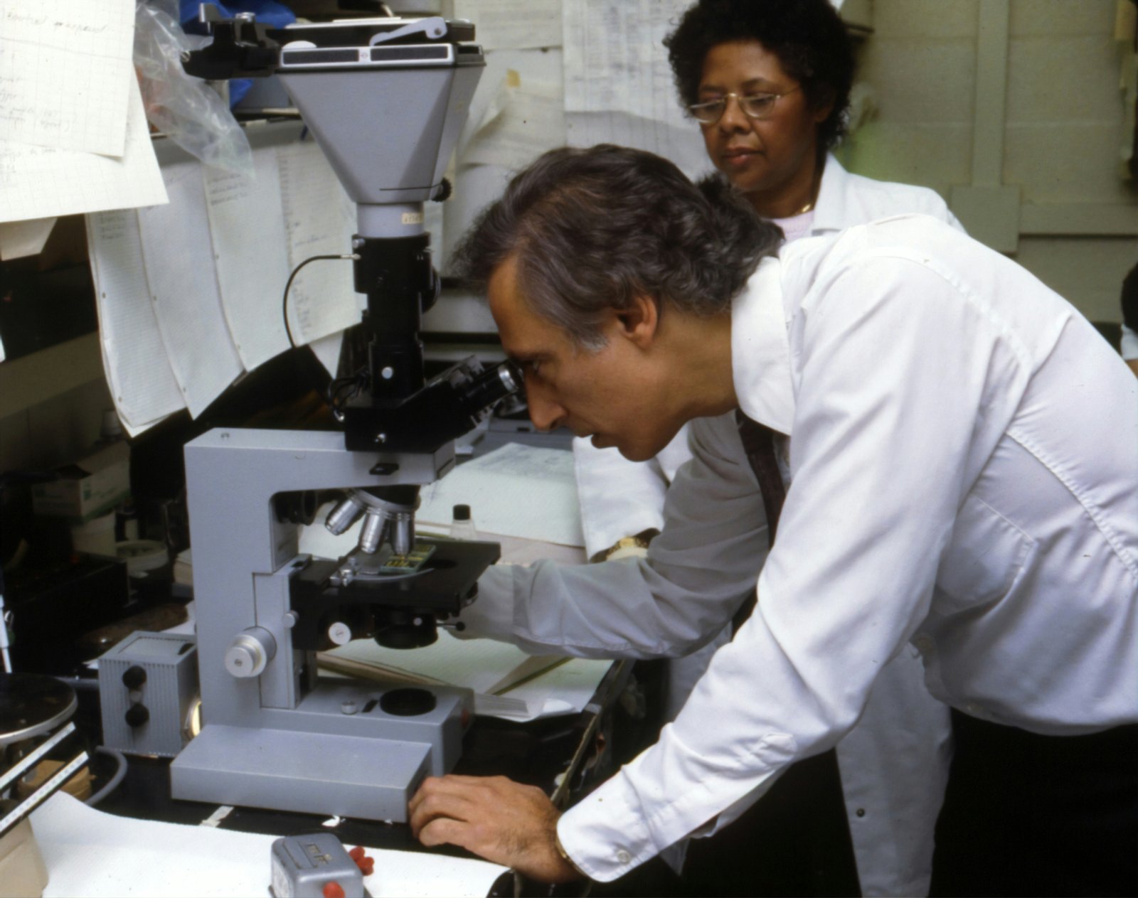 Pol I transcription is linked to health, disease, and targeted therapy