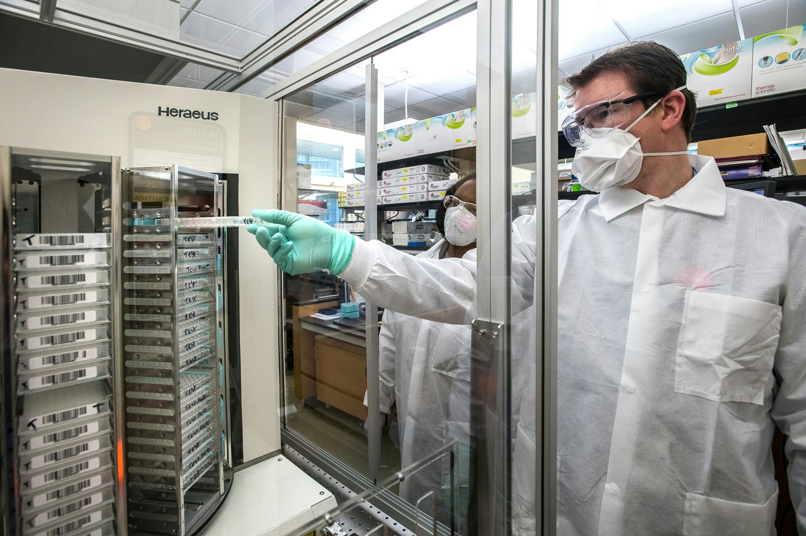 Maternal HIV linked to altered gut microbes and metabolites