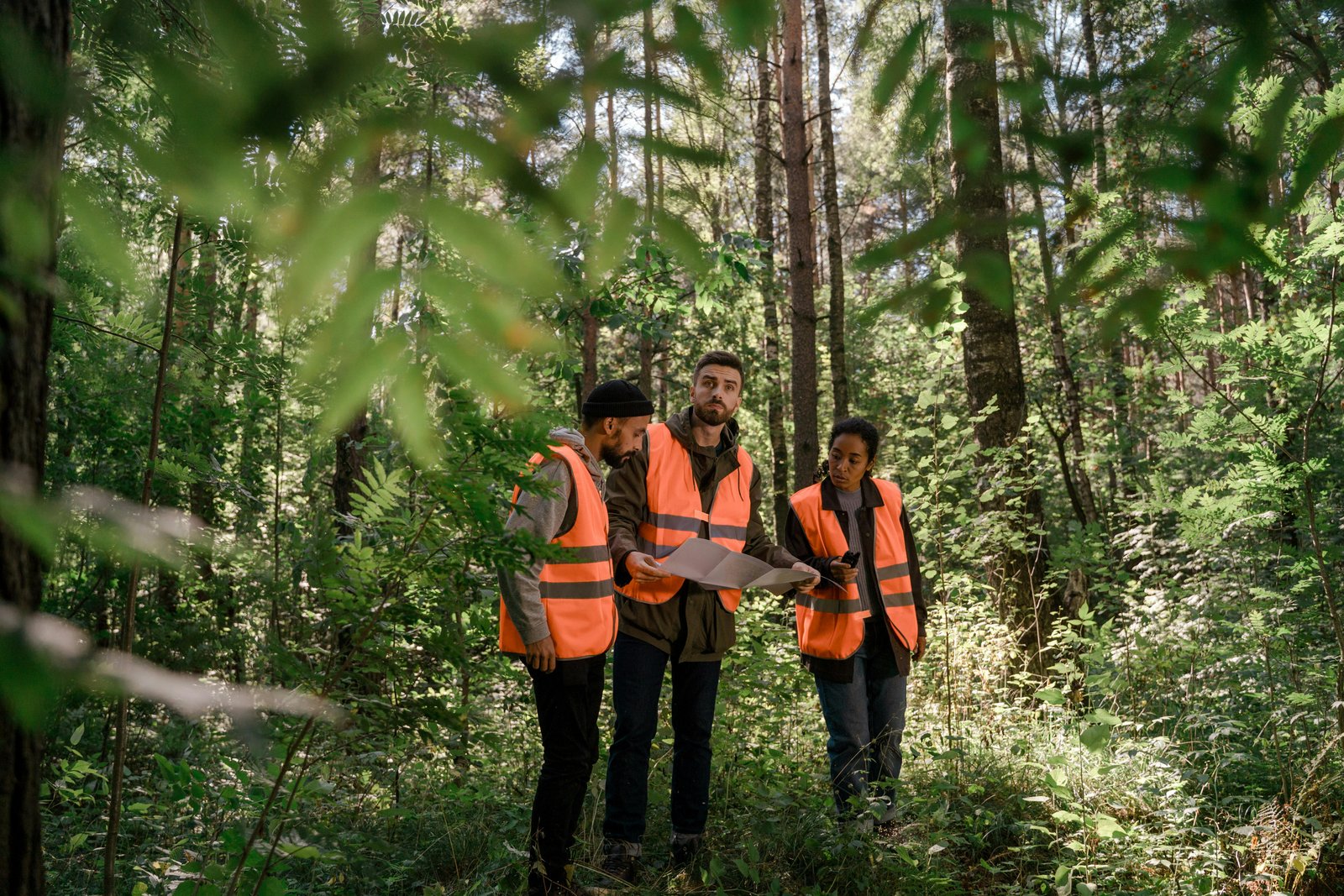 The Promise and Peril of On-Device AI for Conservation Work