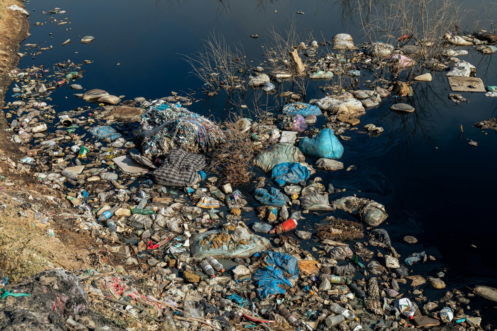 Microplastic pollution is framed as an ethical, legal, and theological crisis