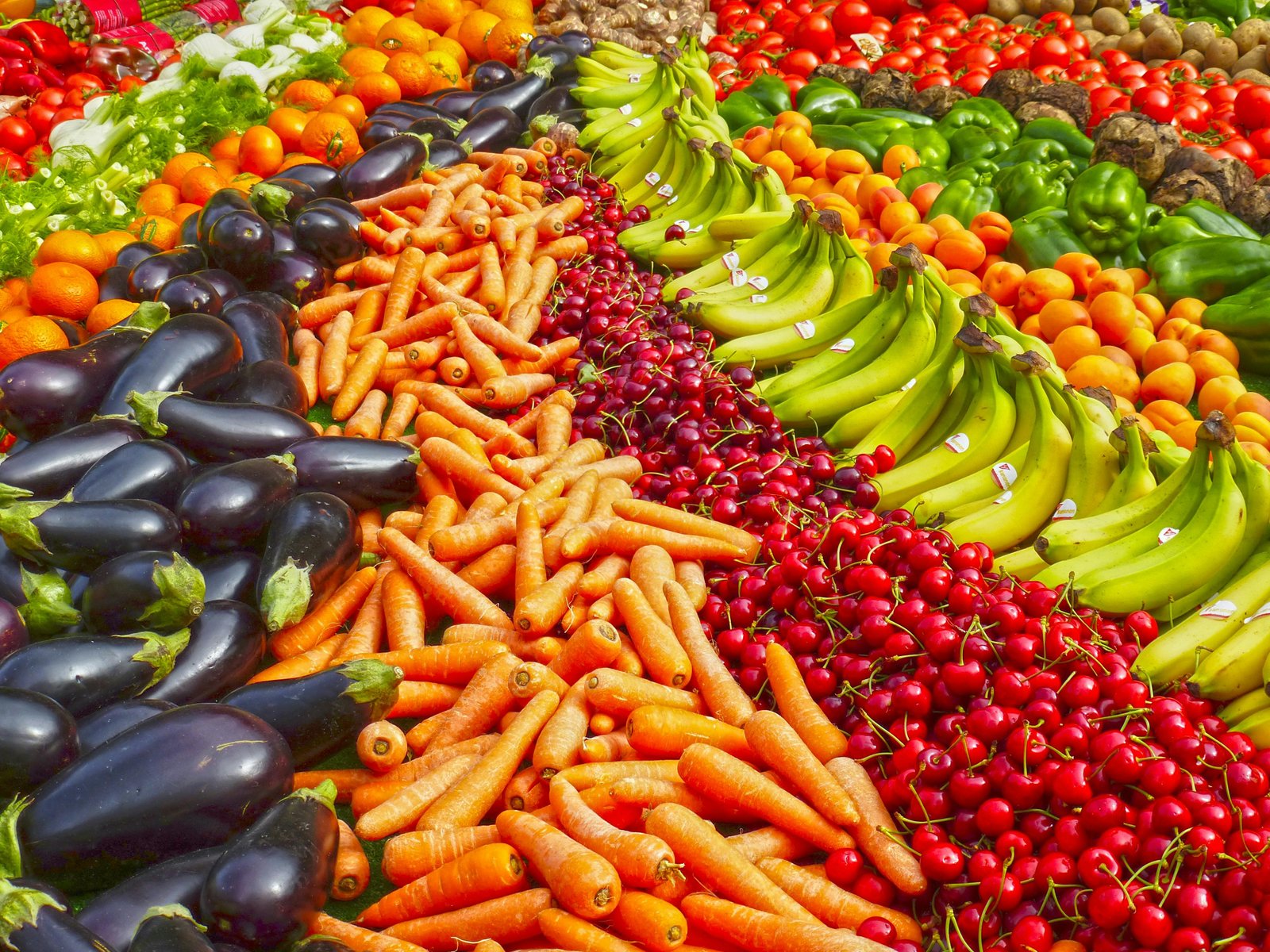 Hungarian Roma perceptions of healthy eating mostly matched dietary guidelines