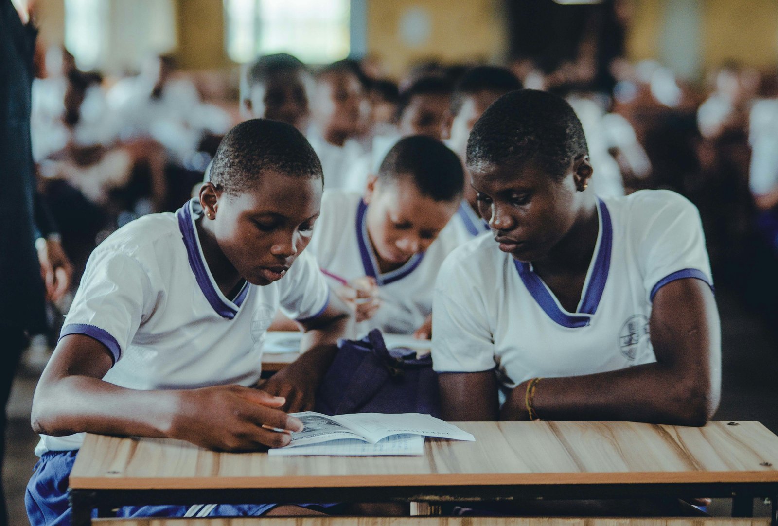 African multilingualism conflicts with imported language theories