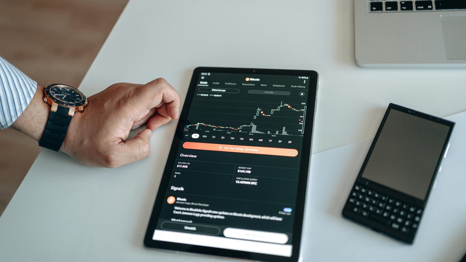 Price bubbles found in most examined DeFi and NFT assets