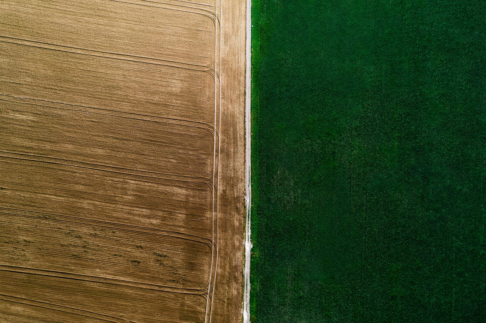 Western Ukraine is presented as promising for agricultural development