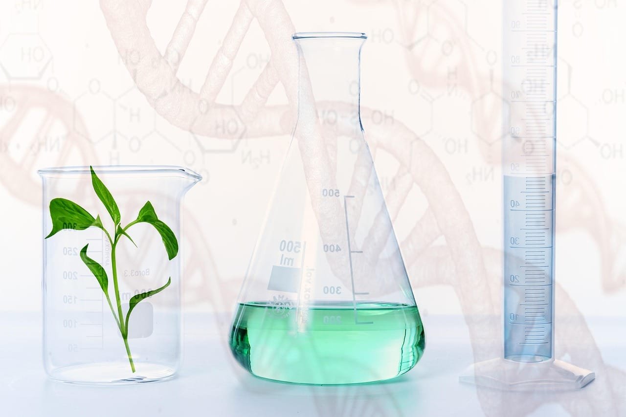 Aryl Halide Carboxylation via Decarboxylative Metal–Halogen Exchange