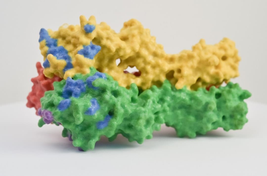 Cryo-EM shows multiple cytochrome P450 reductase conformations