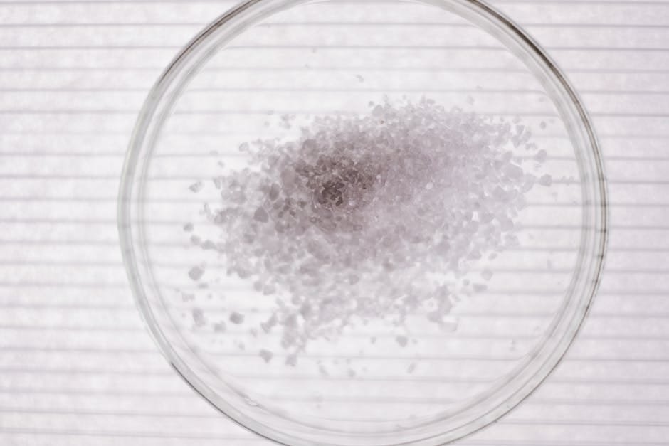 Fast crystallization altered microlite-melt chemistry in a Hunga eruption bomb