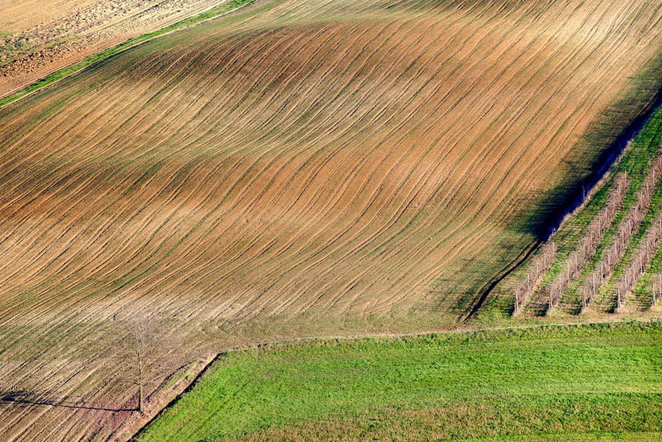 Agricultural and Biological Sciences research