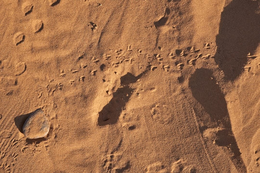 Mars sample yields more than 20 organic molecules