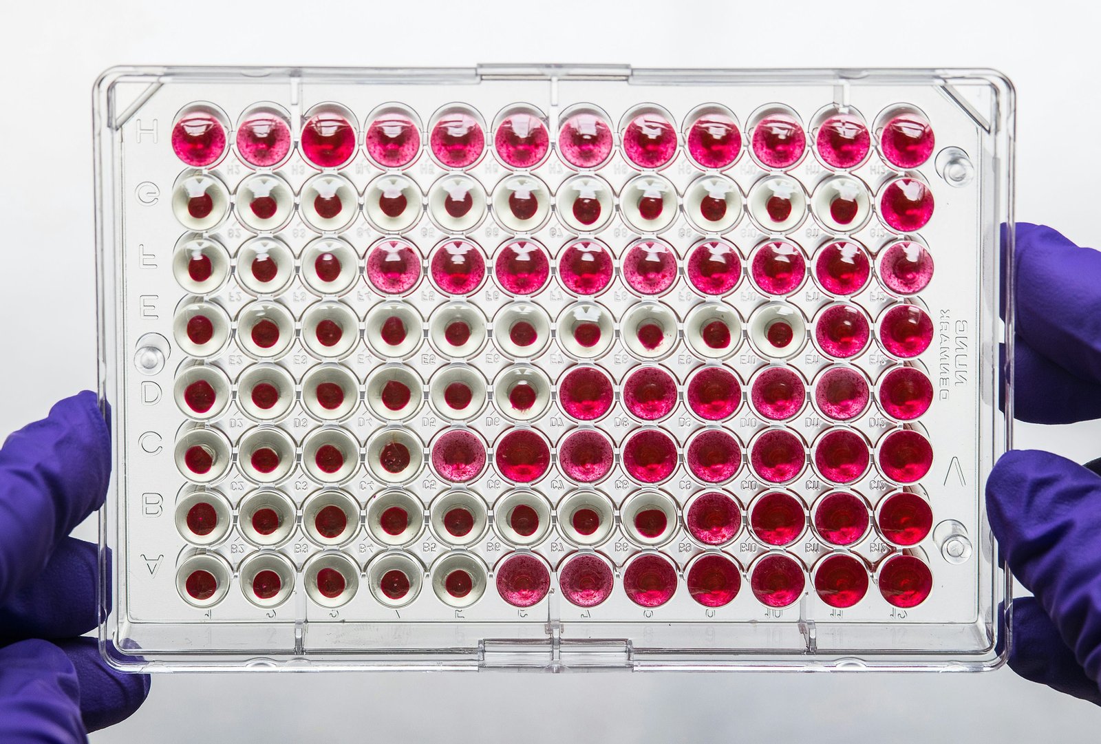 HPTLC method reliably measured gentamicin sulphate in ointment