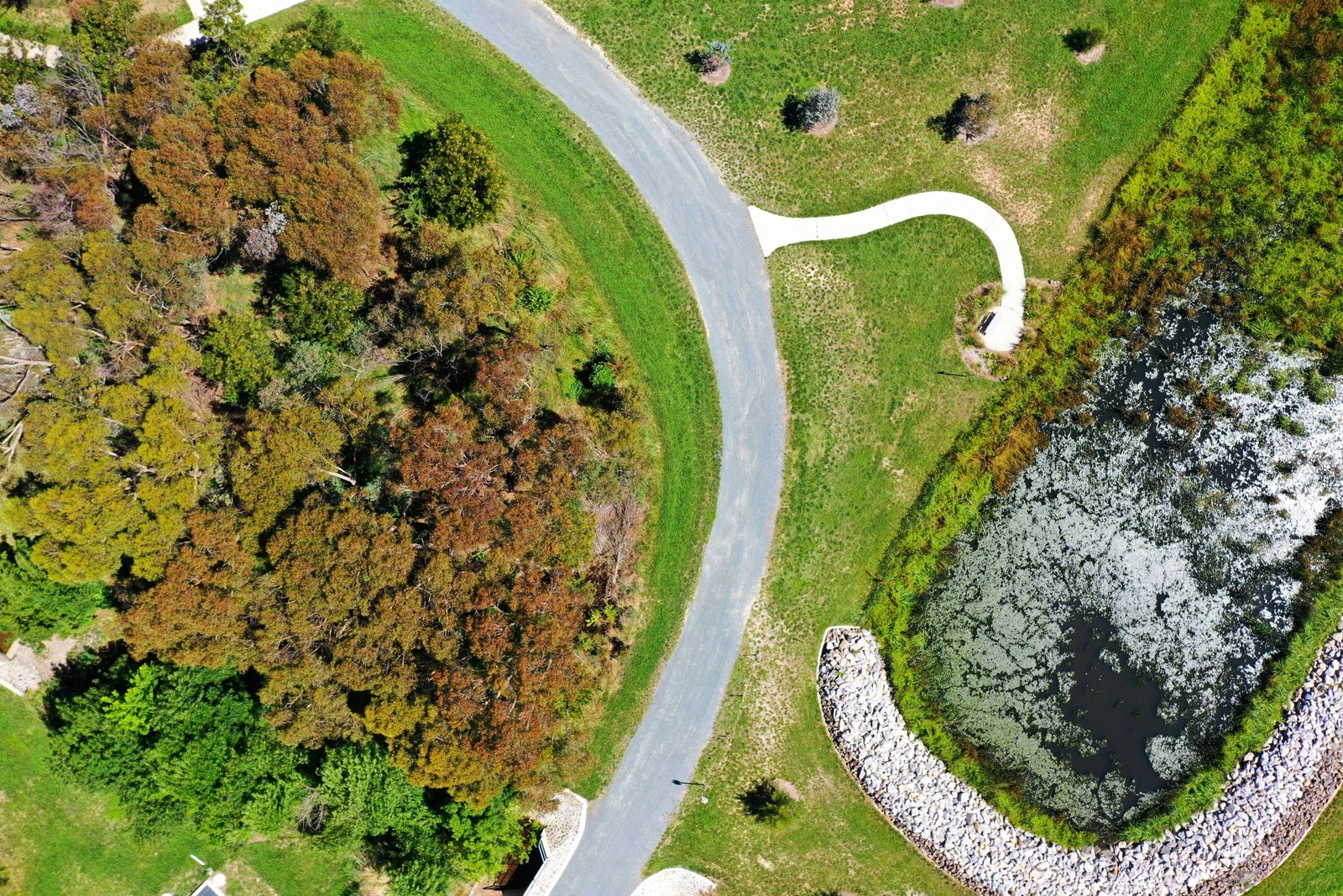 Swedish municipalities show interest in biodiversity but face constraints