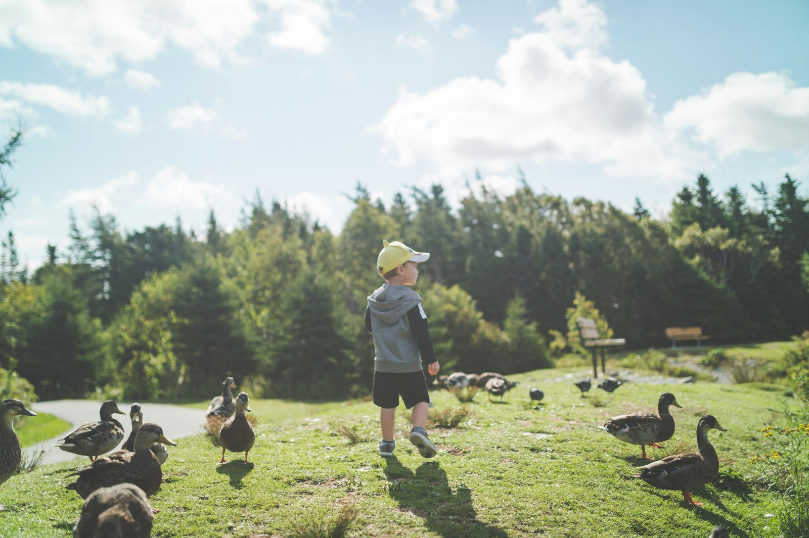Animal encounters are linked to stronger nature connection