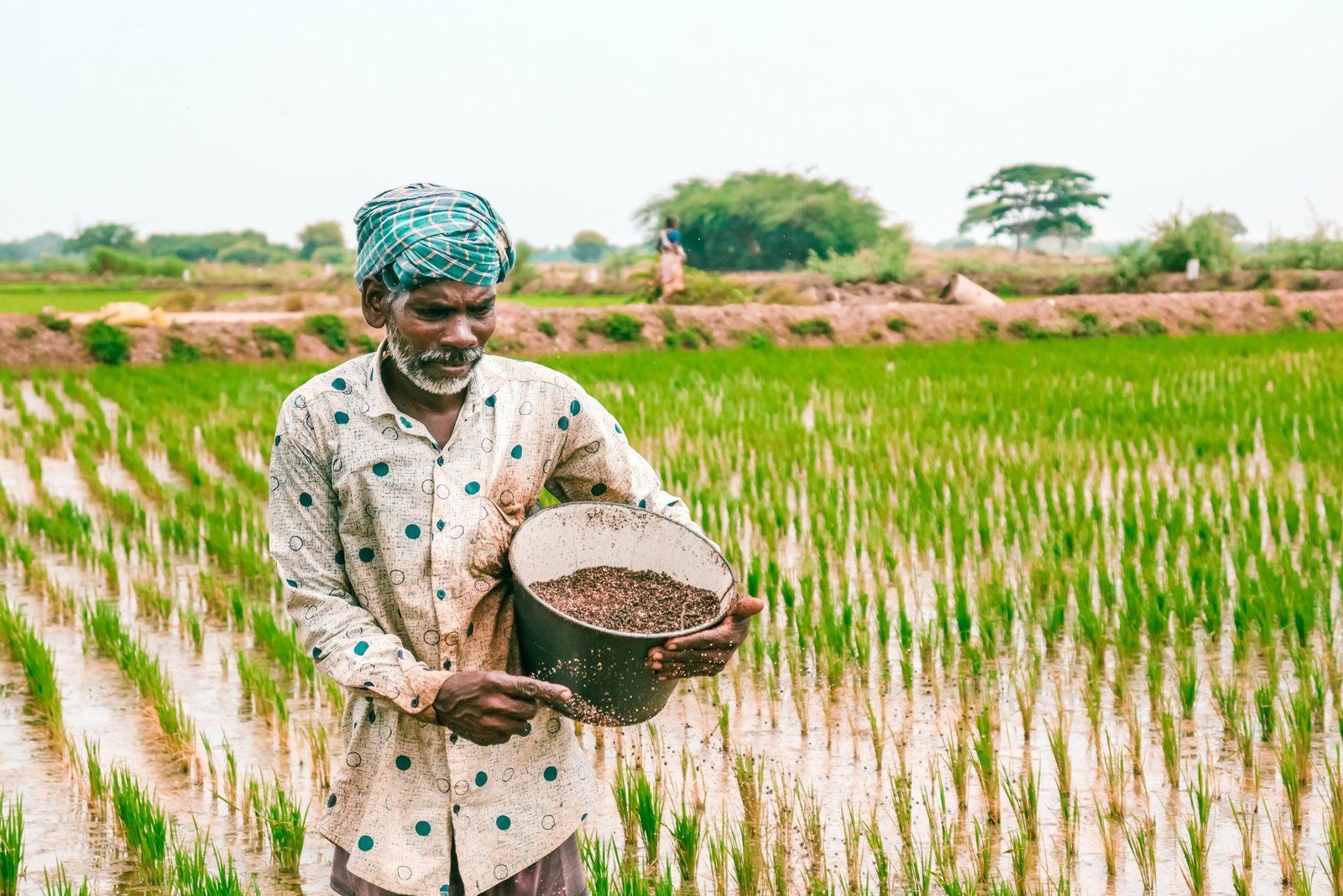 Hometown-return entrepreneurship boosts agricultural resilience