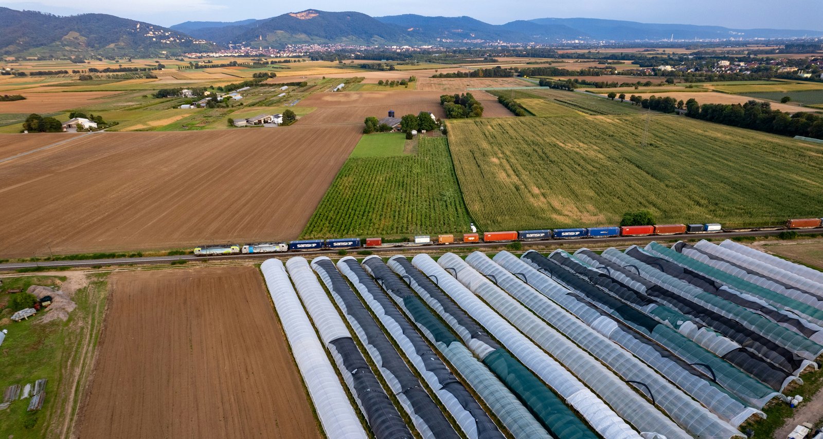 Belarus agroindustry model links import substitution with exports