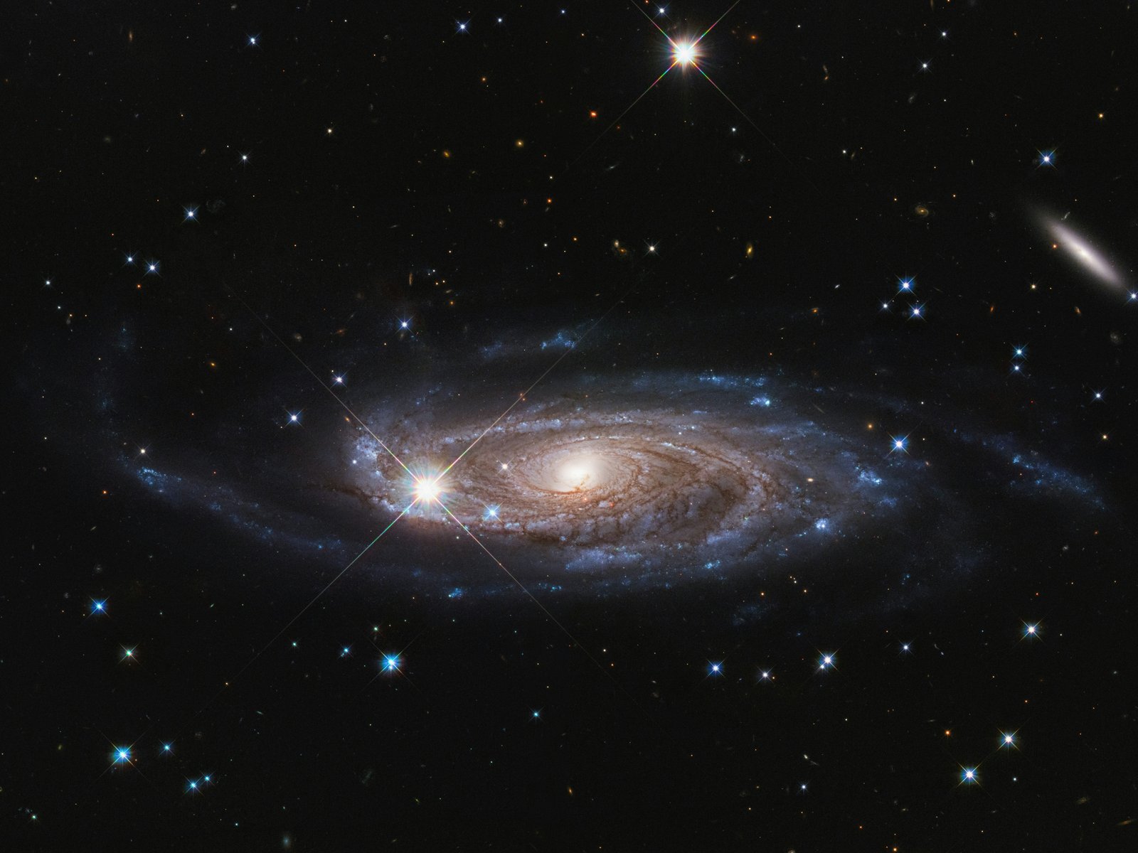 NUV-blue spirals show star-forming outer disks