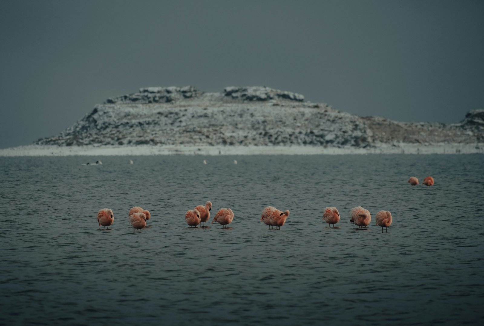 Naval mine warfare in the Black Sea poses environmental and legal risks