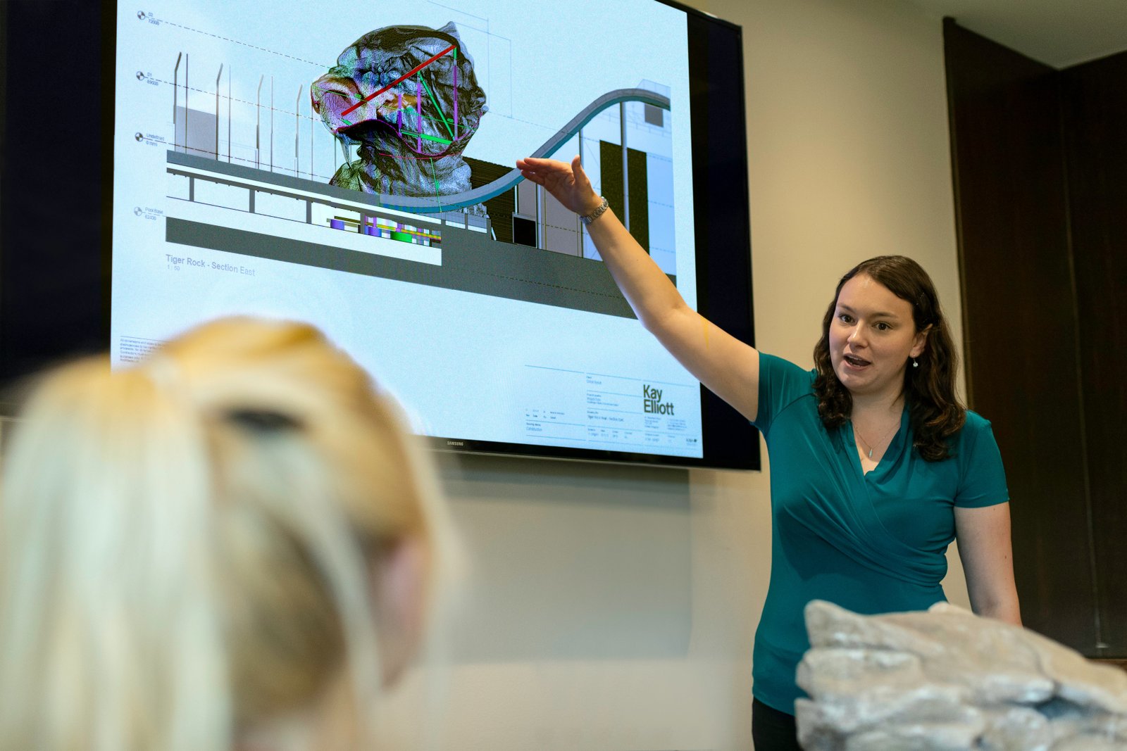 3MT slides used mostly non-specialized images to support comprehension