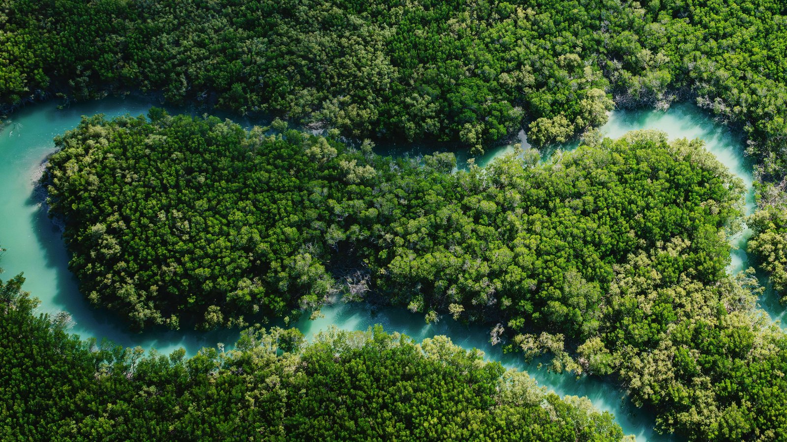Methane increases were linked mainly to wetlands in Africa and Asia