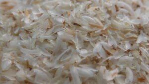 Food science research