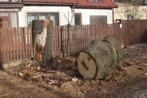 Forestry research