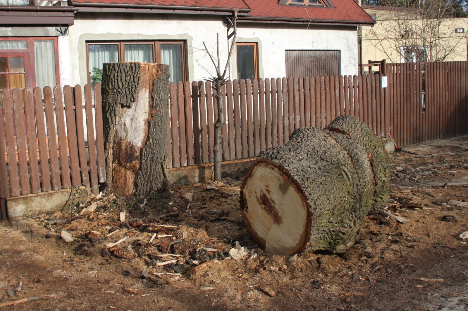 Forestry research