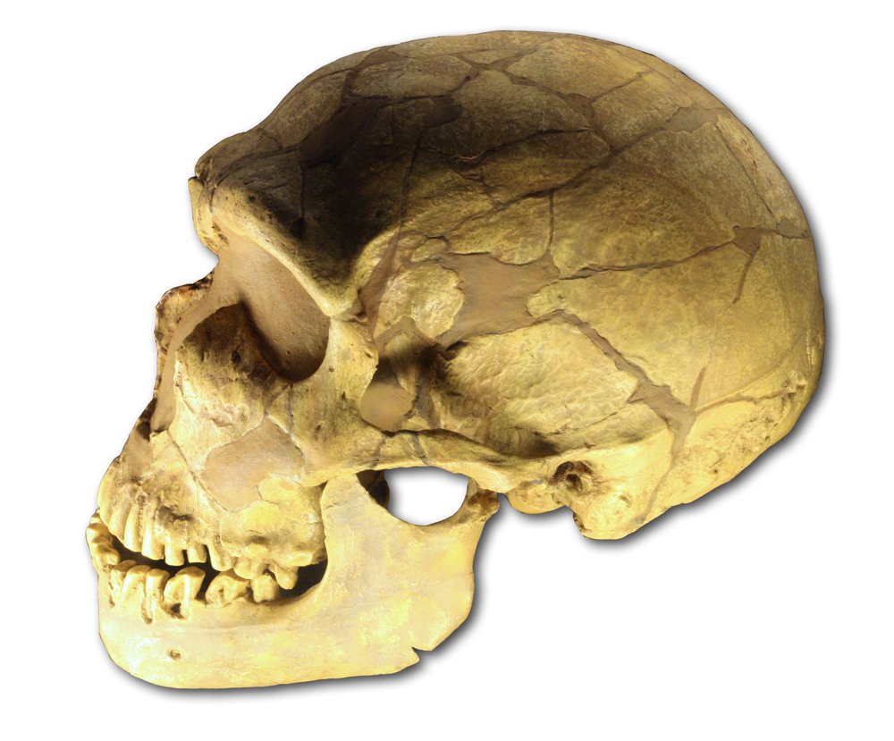 Archaeology research