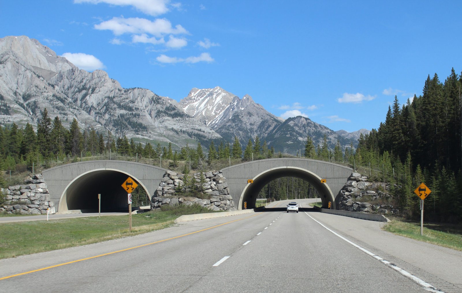 Prioritized road segments for wildlife crossing structures were identified