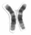 Biochemistry, Genetics and Molecular Biology research