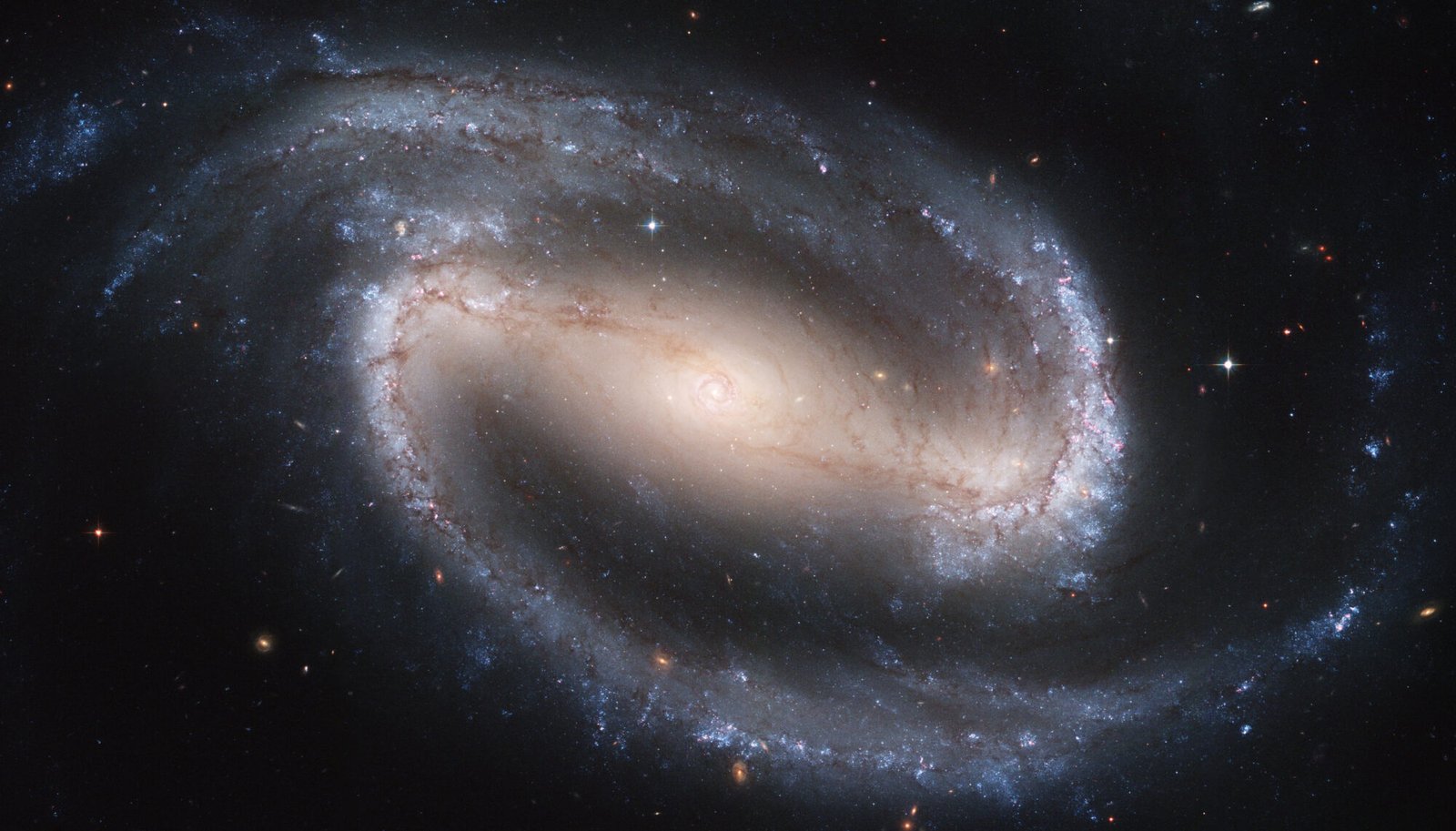 Euclid Q1 catalogue covers 378,000 galaxies