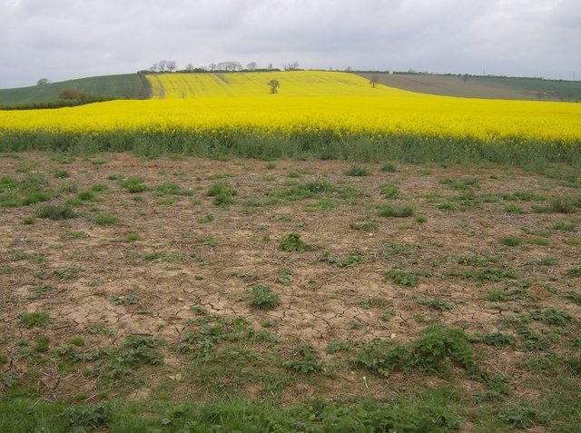 Danish landowners asked more compensation for stricter agri-environmental schemes