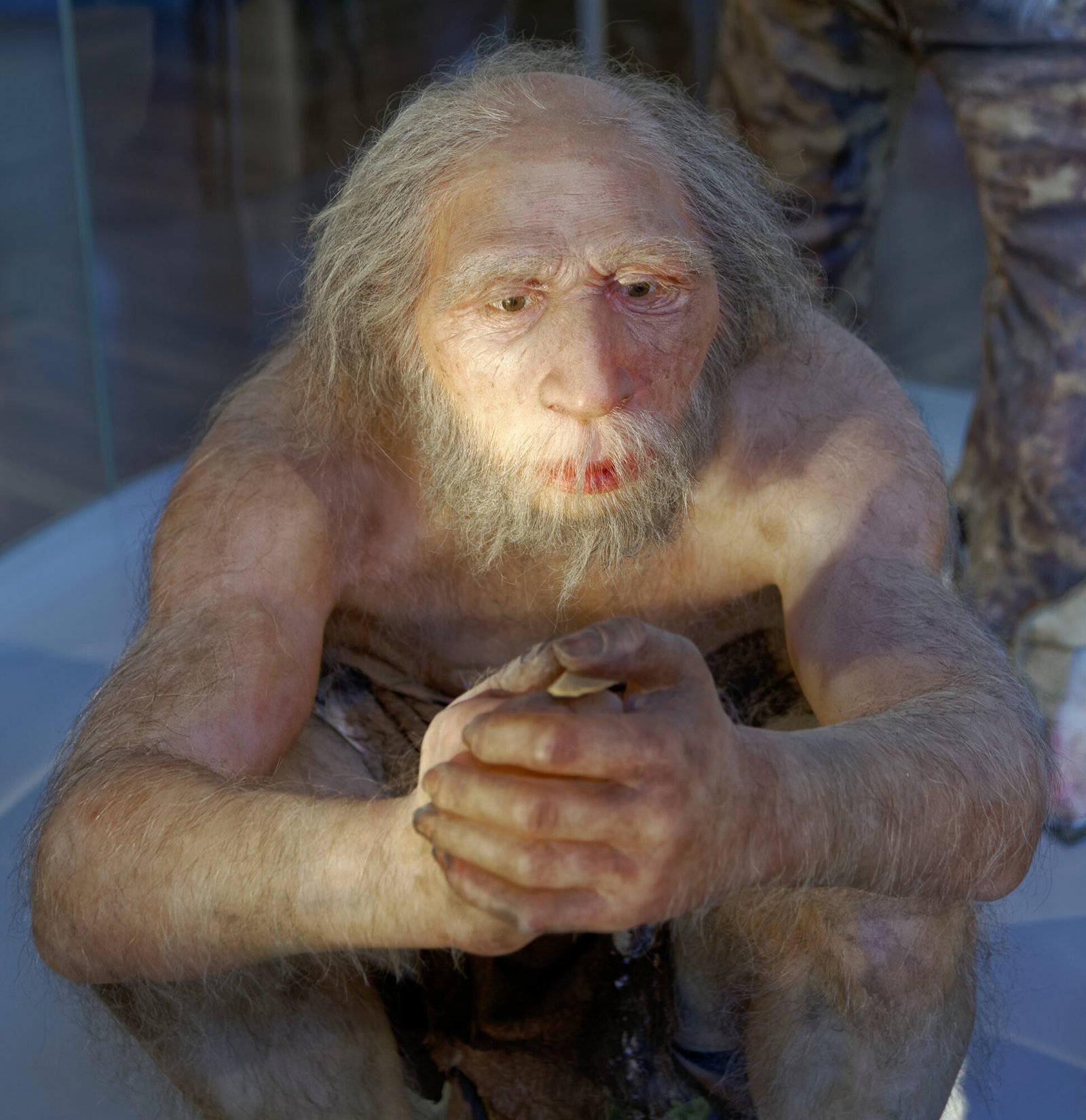 Neanderthal and modern human interbreeding was sex biased