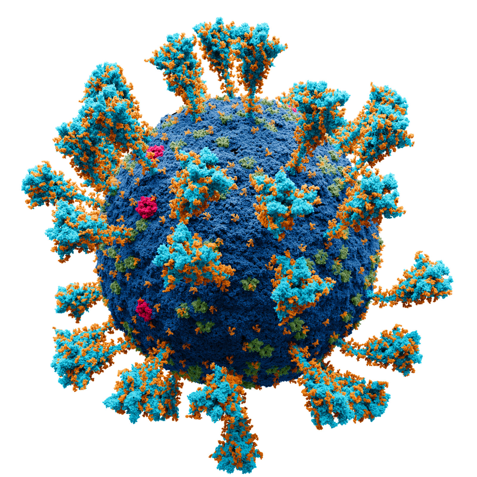 COVID-19 and non-COVID respiratory infections showed similar long-term health effects