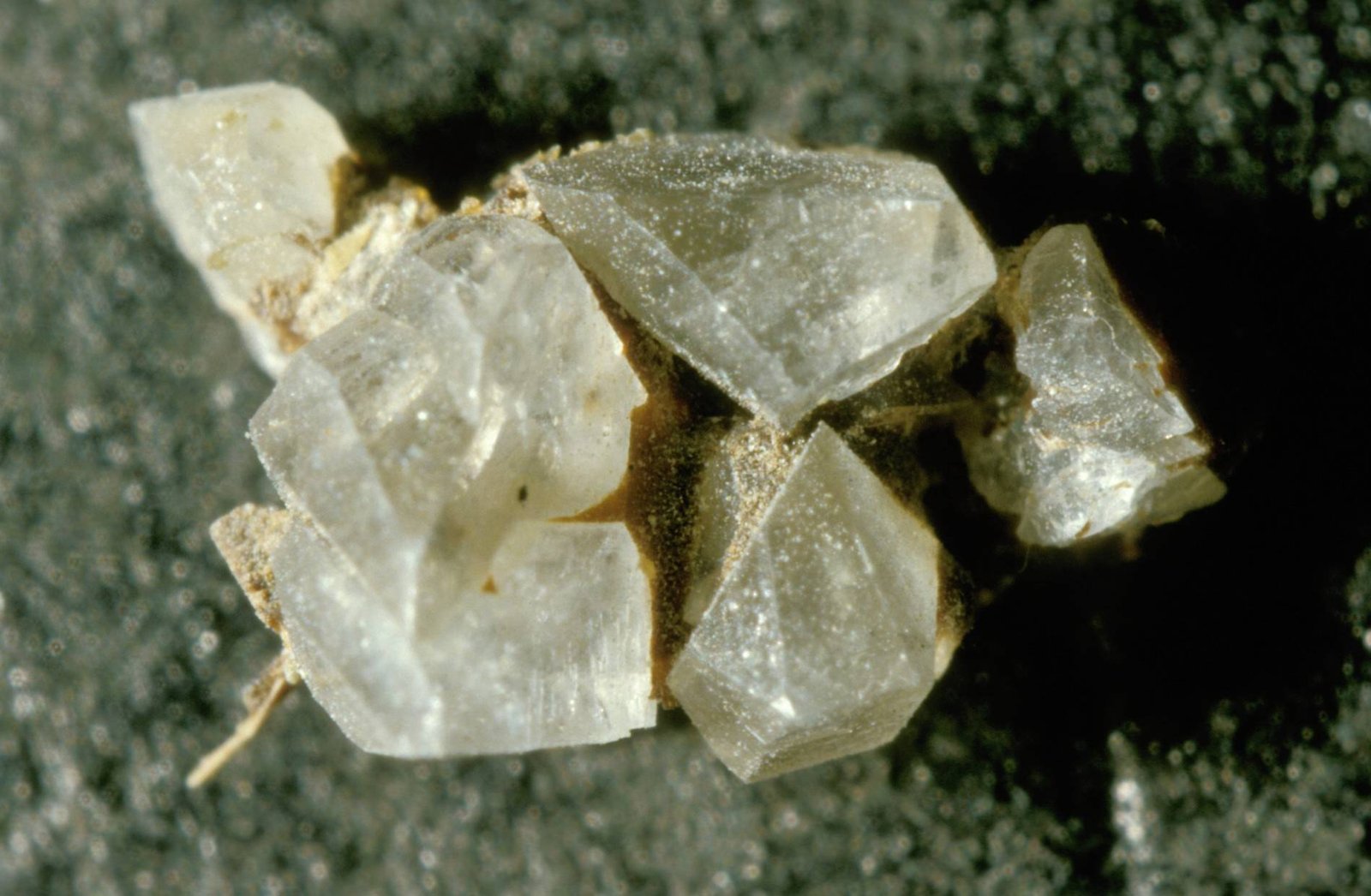 Residual stones and urine culture predict early stone recurrence
