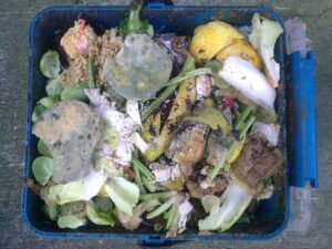 Agricultural and Biological Sciences research