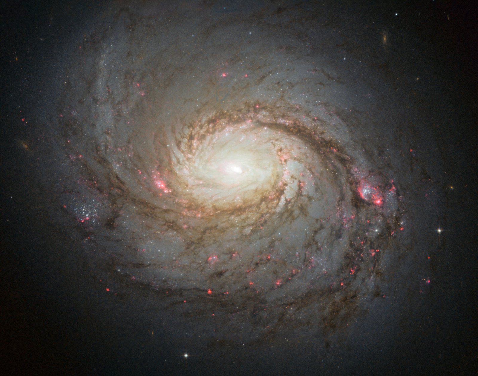 Changing-look AGNs mostly match typical host-galaxy scaling relations
