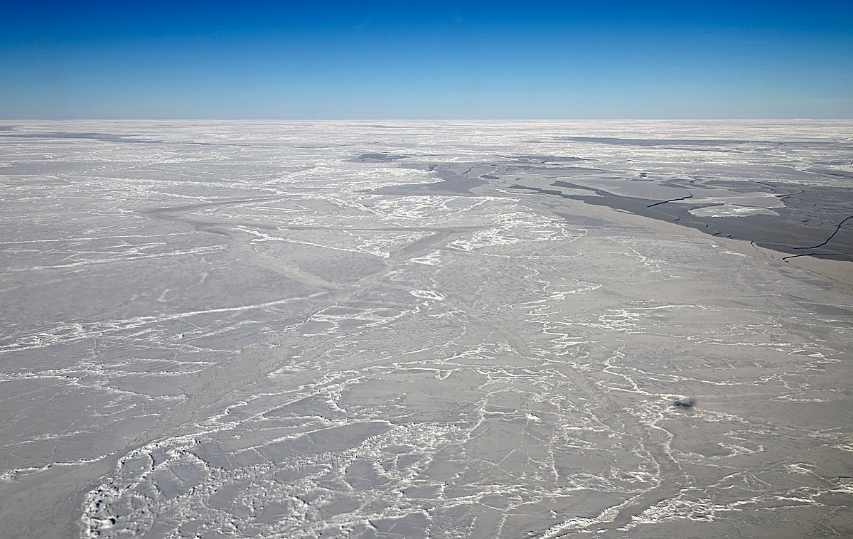 Sea ice reference data aligned for satellite altimetry comparison